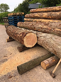 Large Douglas Fir Logs