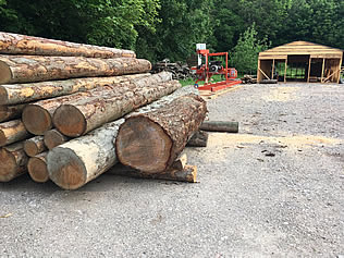 Douglas Fir Logs